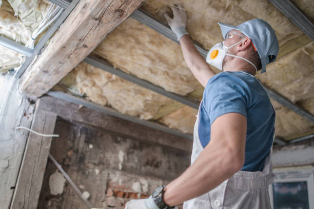 Best Insulation Contractors for Homes  in Coulee Dam, WA